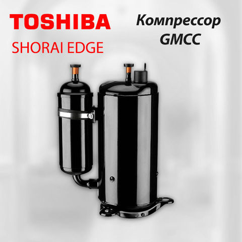 Toshiba RAS-B10E2KVG-E/ RAS-10J2AVSG-E1Shorai Edge-7