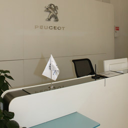 Монтаж тепловых завес в учебном центре Peugeot - Citroen